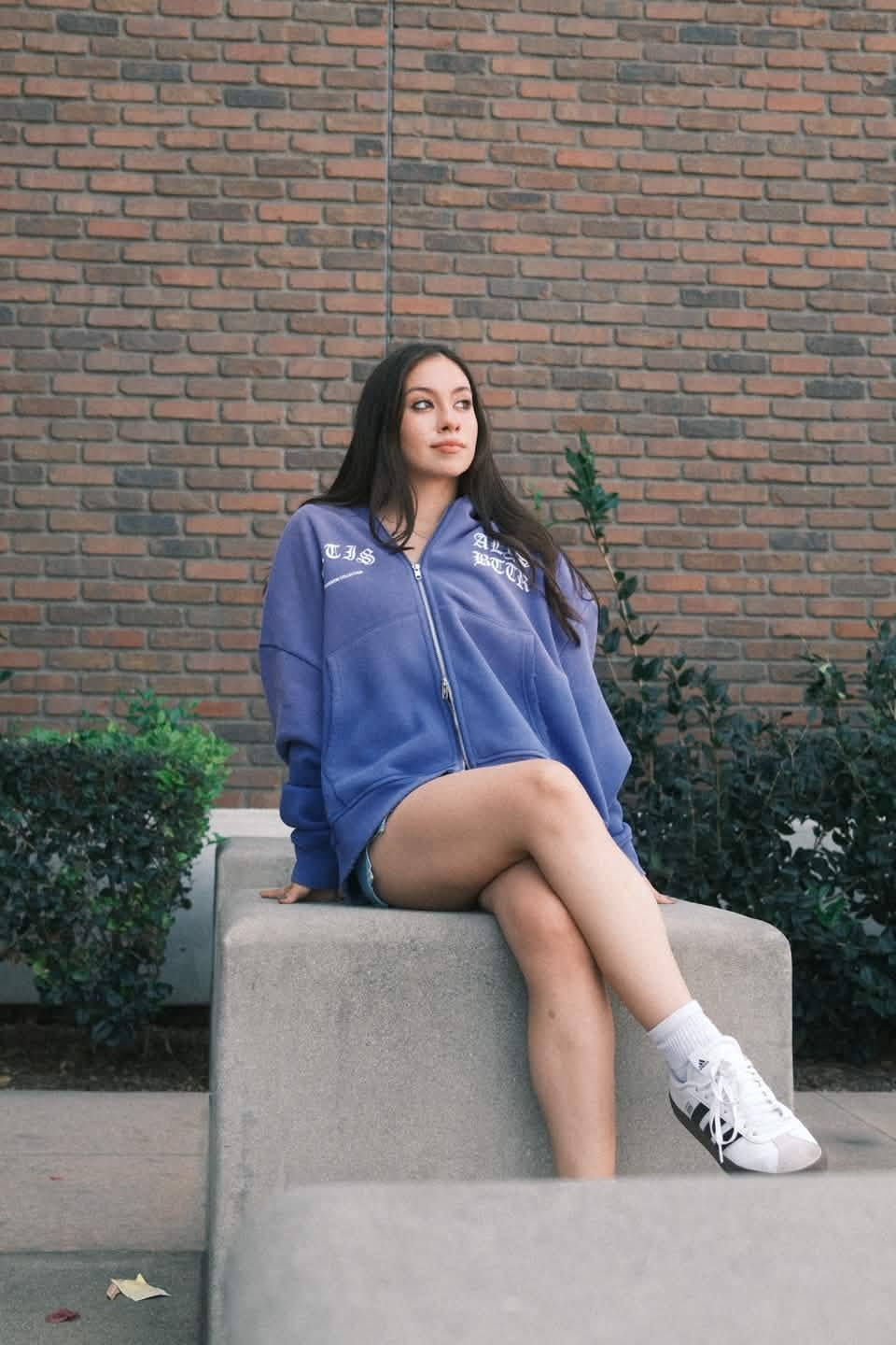 Espeon Zip up Hoodie (preorder)